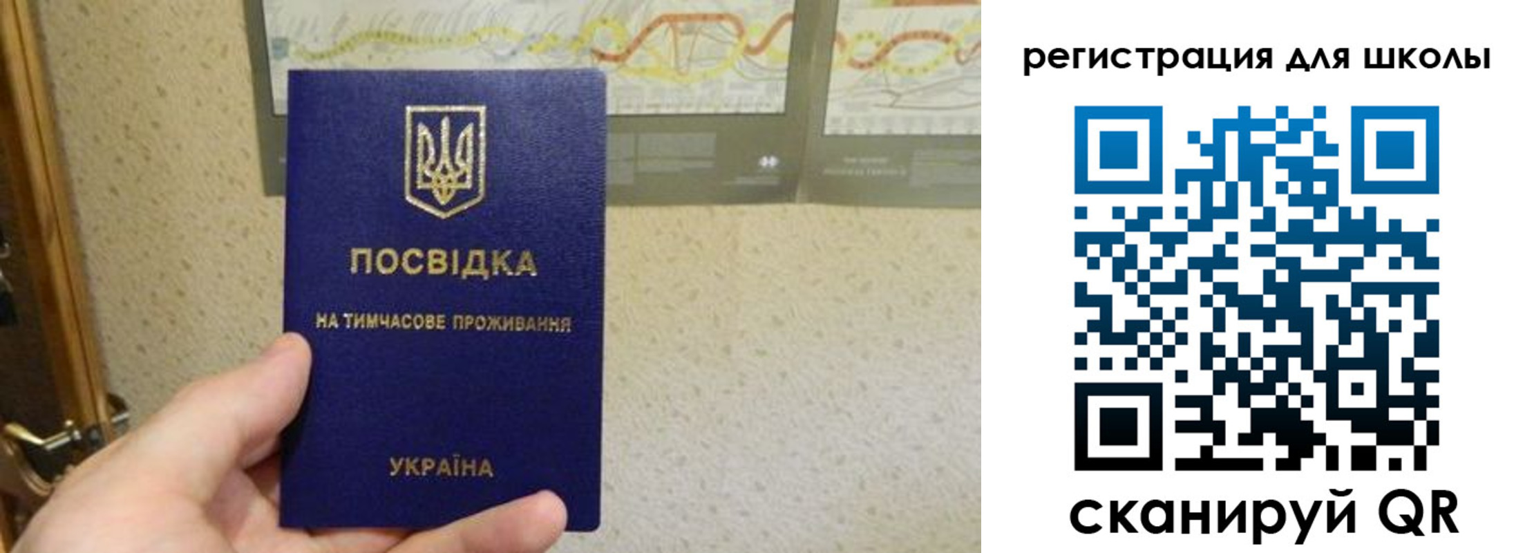 временная прописка в Светогорске